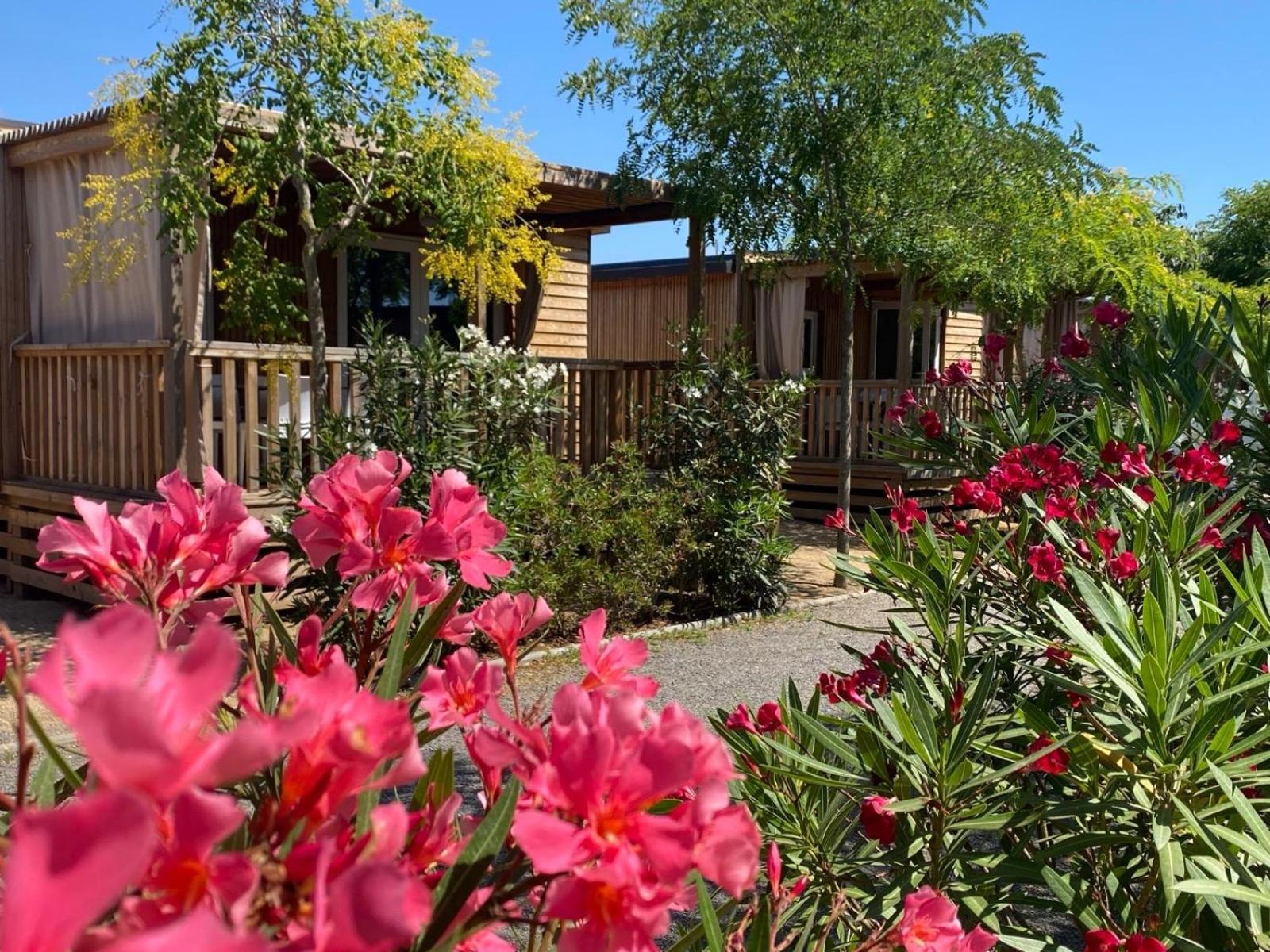 Camping Resort Els Pins Malgrat de Mar Εξωτερικό φωτογραφία